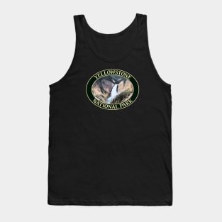 Yellowstone Falls at Yellowstone National Park in Wyoming Tank Top